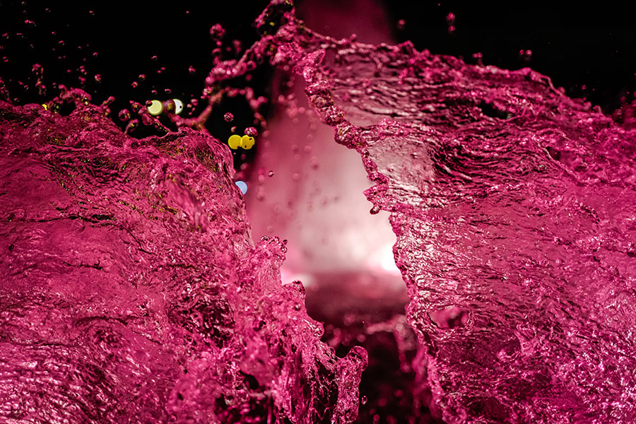 Vino lambrusco